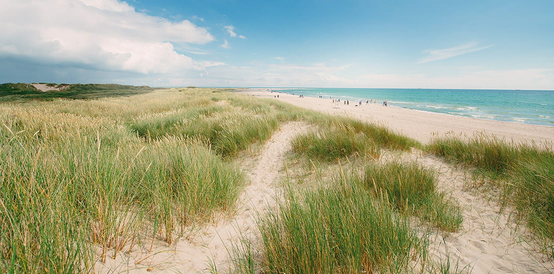 A view over a white sand beach in Skagen, Denmark